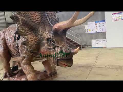 Paseo animatrónico Triceratops en aerosol e hiperrealista para Dinosaur Park