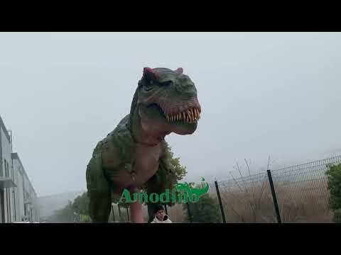 6m high  animatronic Tyrannosaurus Rex for zoo with good price
