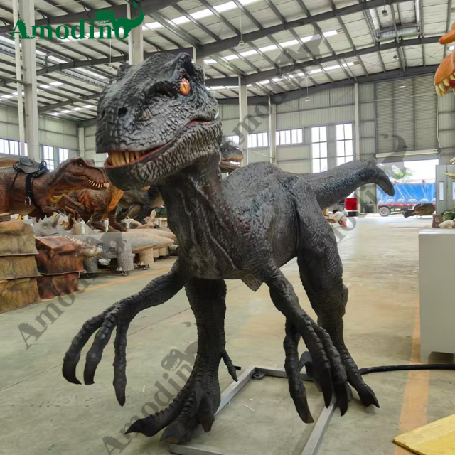 Electronic Carnivorous Velociraptor for dinosaur theme parks, and zoos