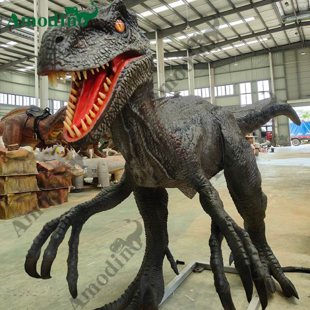 Electronic Carnivorous Velociraptor for dinosaur theme parks, and zoos