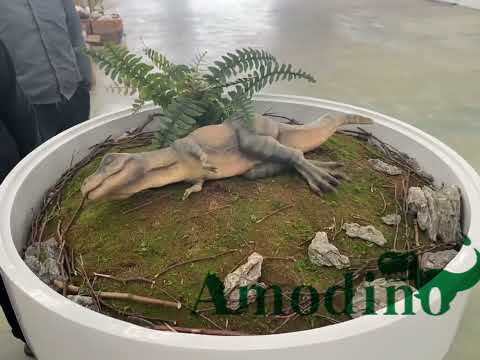 Customizable Bionic Tyrannosaurus Rex Incubator with Ultra-Realistic Effects, Designed for Dinosaur Theme Parks, Theme Malls, and Theme Exhibitions
