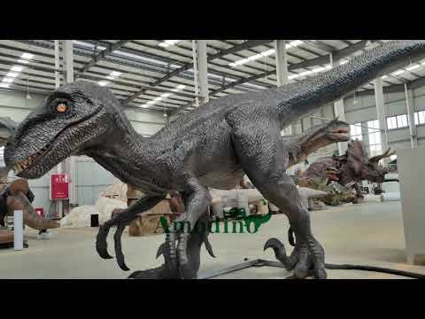 Electronic Carnivorous Velociraptor for dinosaur theme parks, and zoos