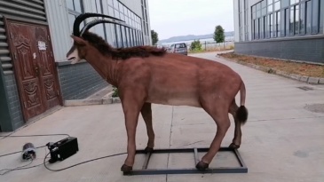 Modelo animatrónico Addax de alta calidad para zoológico.