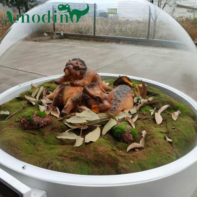 Hyper-realistic baby triceratops incubator for zoos/parks