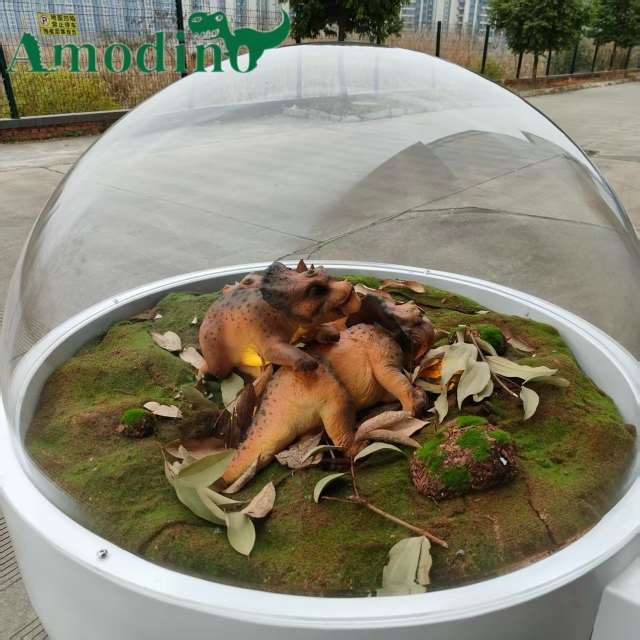 Hyper-realistic baby triceratops incubator for zoos/parks