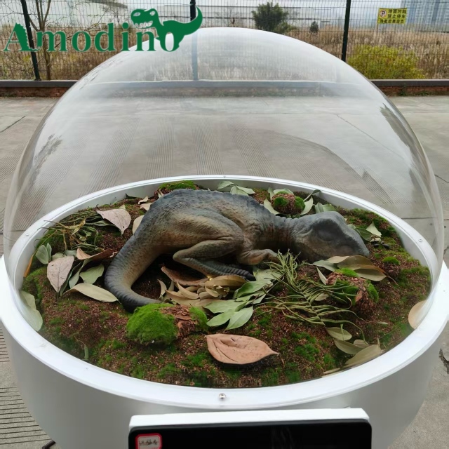 Baby Raptor Incubator Dome Display