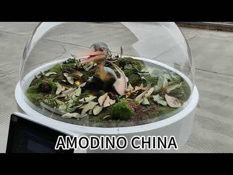 Pterodactyl Baby Incubator Dome for zoo