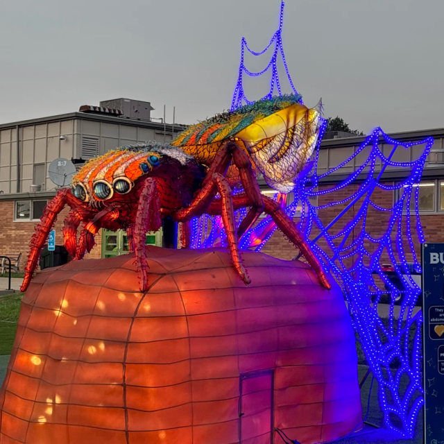 LED Animal Lanterns – Festival Lights for Events & Celebrations