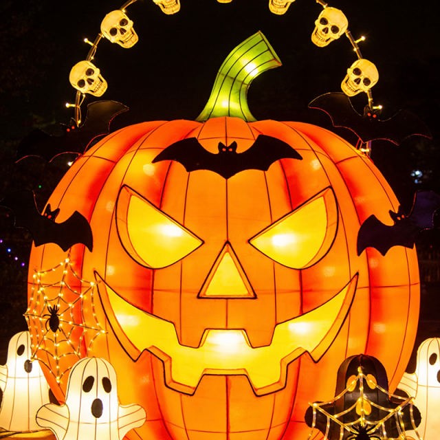 LED Illuminated Halloween Lanterns for Outdoor Festivals & Family Themed  Parks