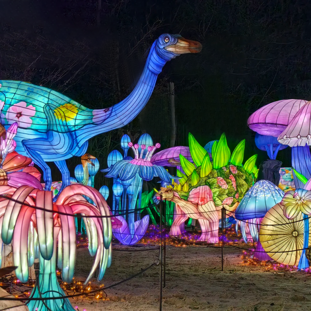 Outdoor Brachiosaurus Dinosaur Lantern - LED Prehistoric Light Display for Festival