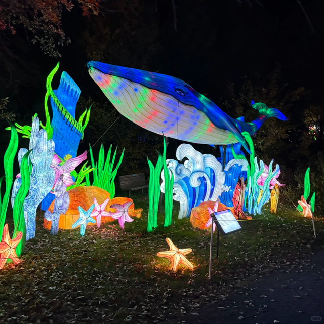 Custom Ocean Animal LED Lanterns  for Zoo & Park