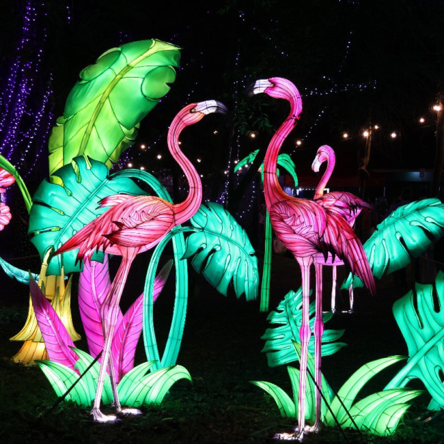 Avian LED Lanterns for Theme Parks