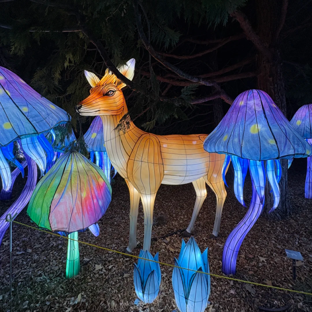 Custom Terrestrial Animal Lanterns for Theme Parks