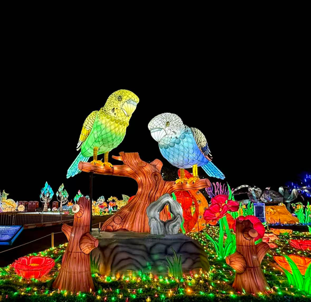 Avian LED Lanterns for Theme Parks
