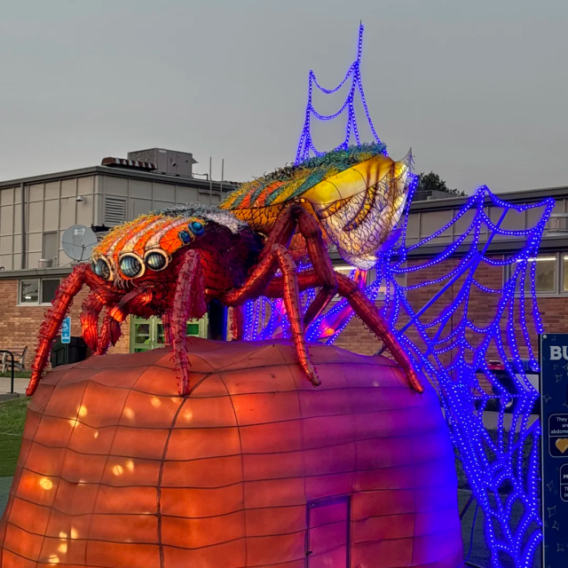 Custom Terrestrial Animal Lanterns for Theme Parks