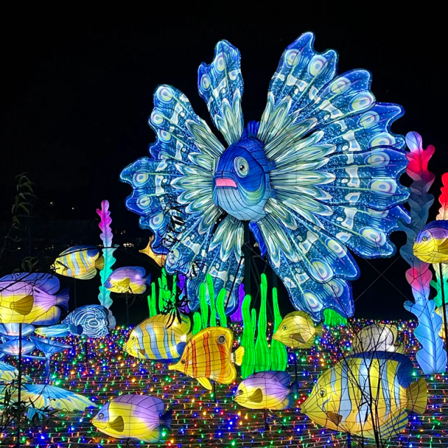 Custom Ocean Animal LED Lanterns  for Zoo & Park