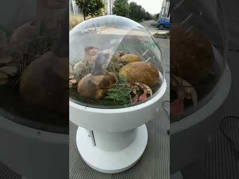 Animatronic T-Rex Egg Incubator