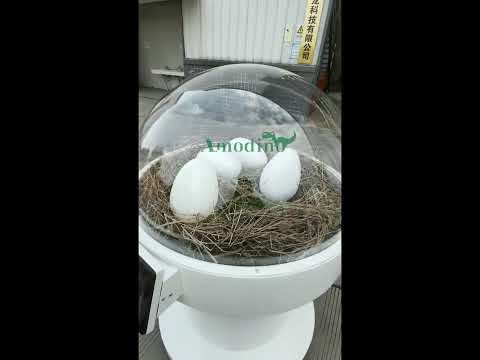 Commercial Dinosaur Egg Shell Incubator for Theme Park
