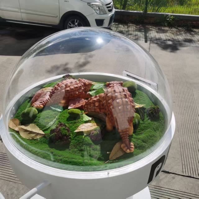 Dinosaur Egg Incubator Dome with Animatronic Ankylosaurus for Theme Park & Museum Display