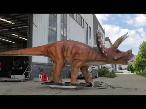 Outdoor Life Size Animatronic Triceratops Dinosaur for Jurassic Theme Park & Natural History Museum Exhibition
