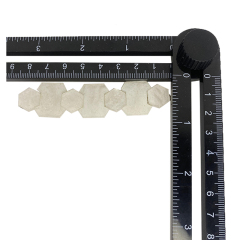 Novedades zapato flor espalda goma taladros bolsas zapato metálico hebillas zapato mujer zapatillas zapato flor zapato hebillas zapato flor material accesorios open mold custom