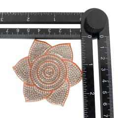 Novedades zapato flor espalda goma taladros bolsas zapato metálico hebillas zapato mujer zapatillas zapato flor zapato hebillas zapato flor material accesorios open mold custom