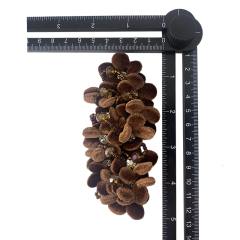 Zapatos personalizados flores hechos a mano con cuentas bordados clavos zapatos con cuentas adornos florales zapatos de mujer zapatillas zapatos de niño hebillas de zapatos accesorios de la parte superior procesamiento de muestras