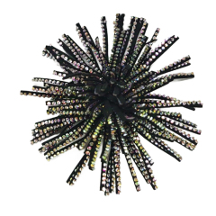 Cross-border explosion of metal shoe buckle shoe chain shoe flower zinc alloy women's shoes children's shoes shoes flower shoe buckle shoe accessories open mold customized