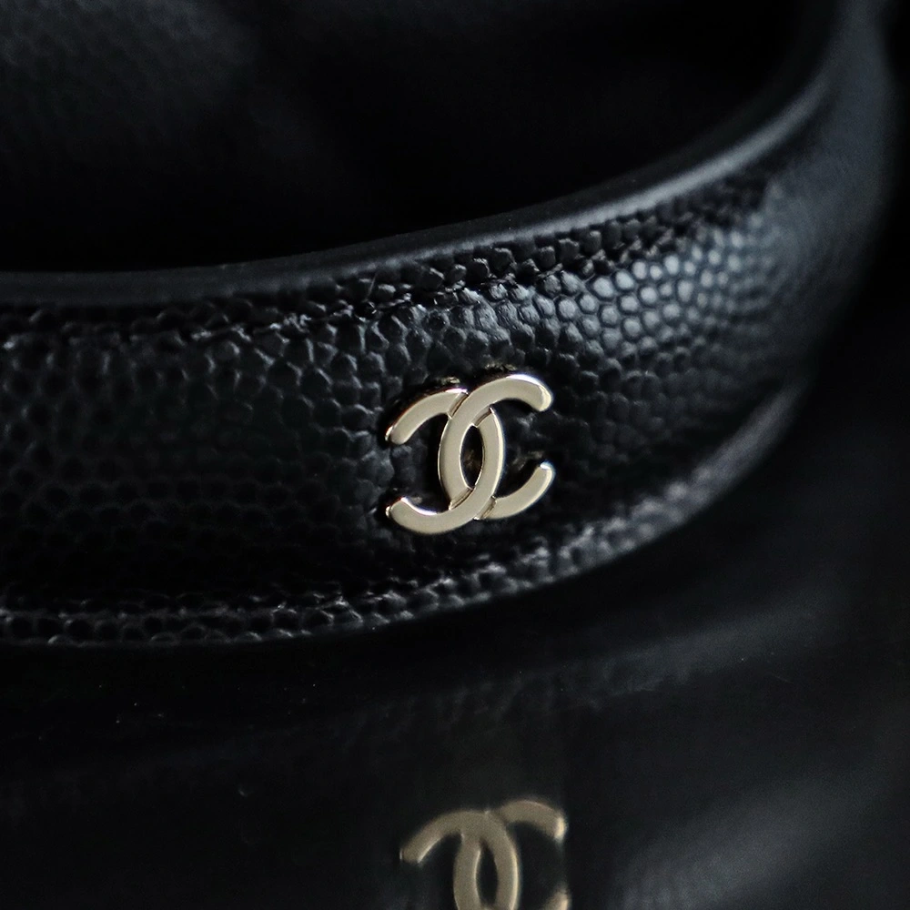 Chanel 25C Backpack