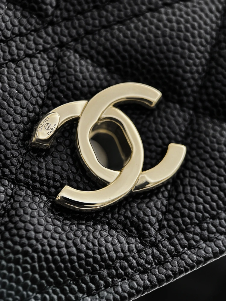 Chanel 25C Backpack