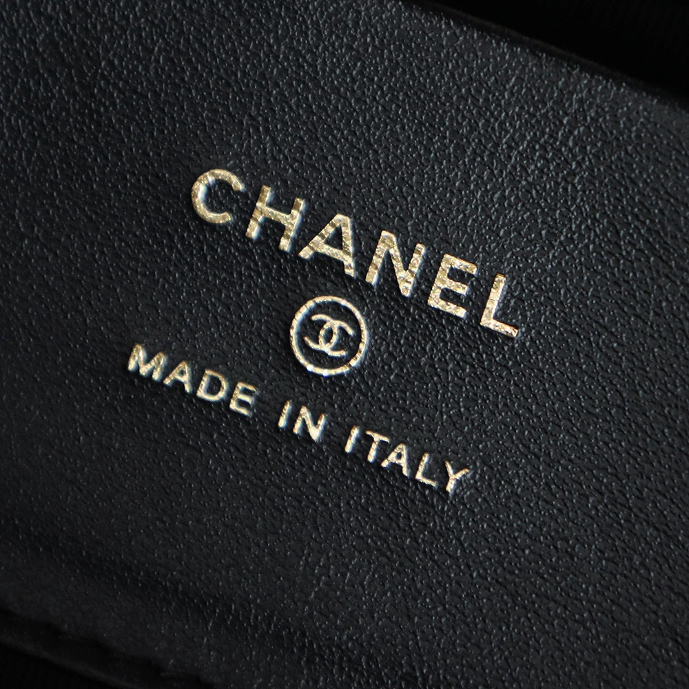 Chanel 31 Nano Bag Black