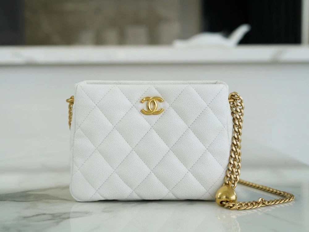 CHANEL Should bag 230816J