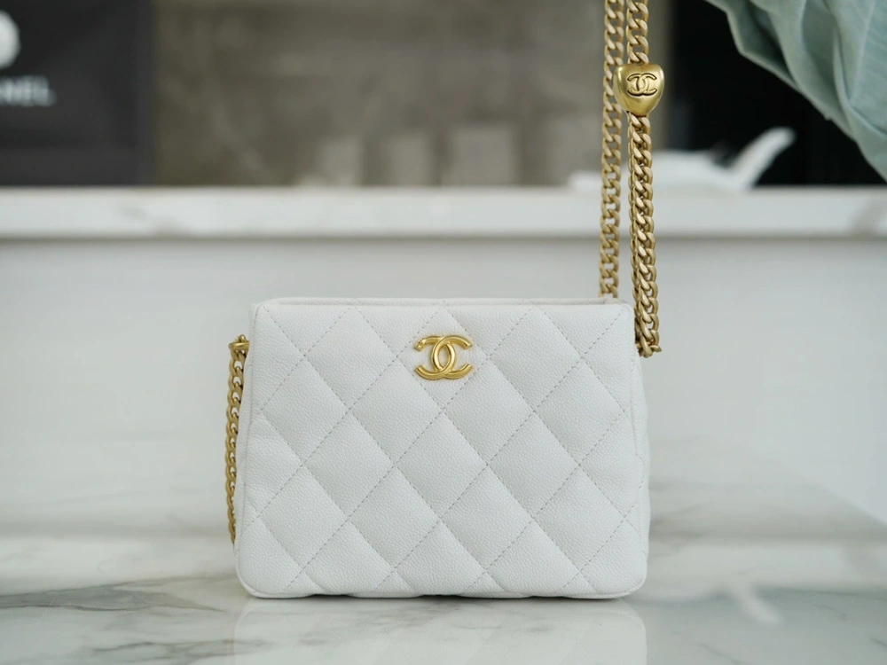 CHANEL Should bag 230816J