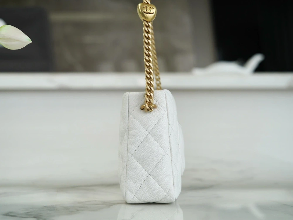CHANEL Should bag 230816J