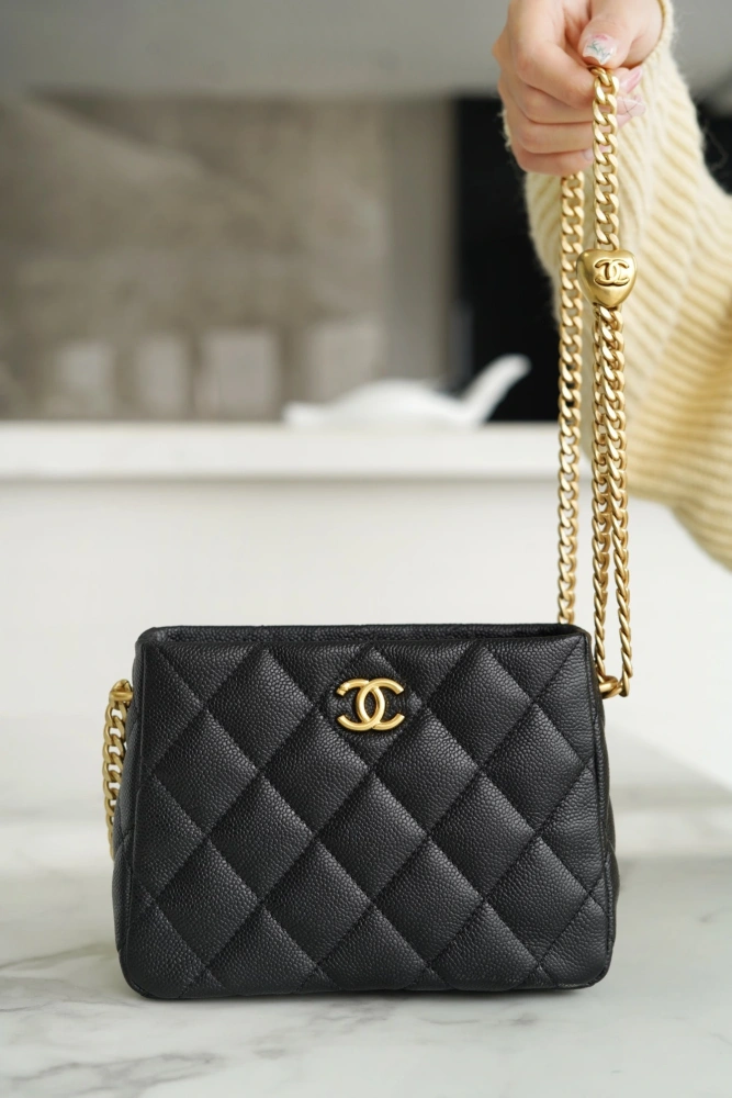 CHANEL Should bag 230816J