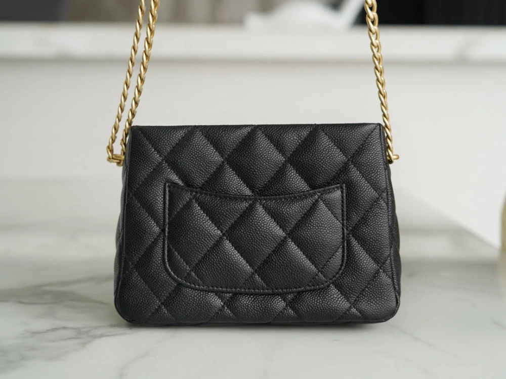 CHANEL Should bag 230816J