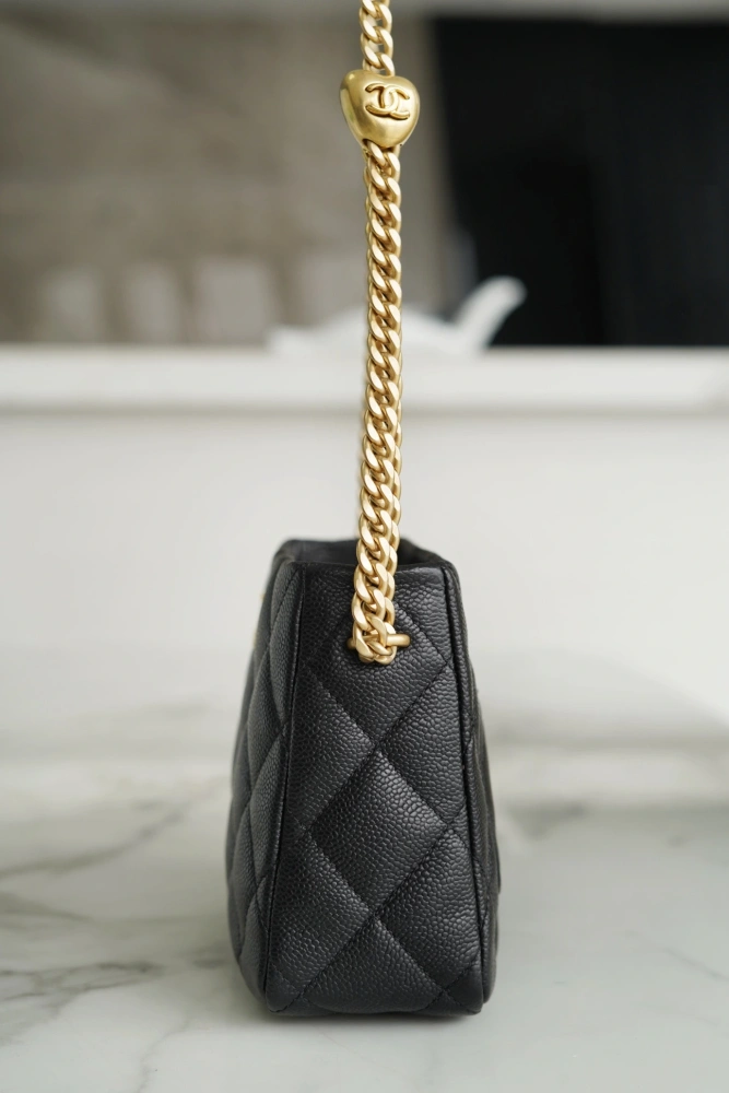 CHANEL Should bag 230816J