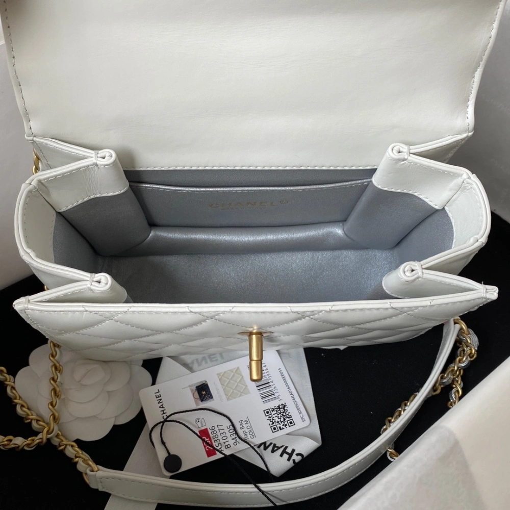 CHANEL Handbag 230816L