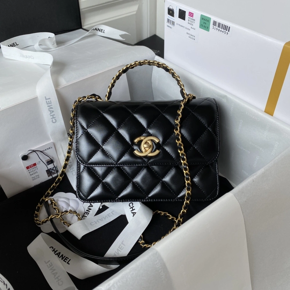 CHANEL Handbag 230816L