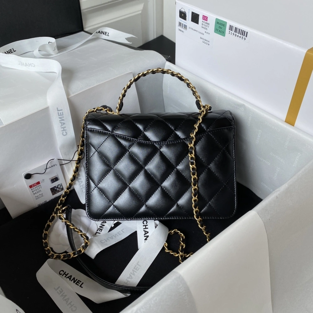 CHANEL Handbag 230816L