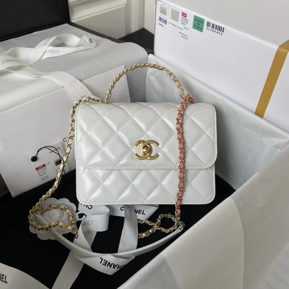 CHANEL Handbag 230816L