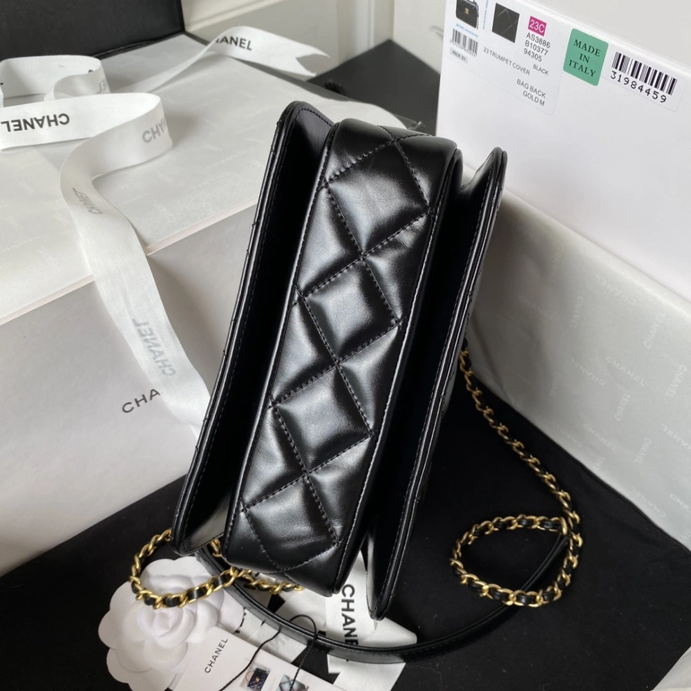 CHANEL Handbag 230816L