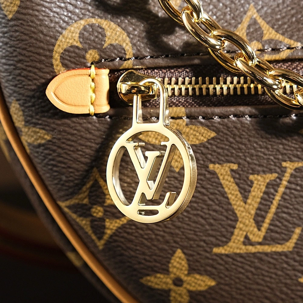 LV Loop Bag