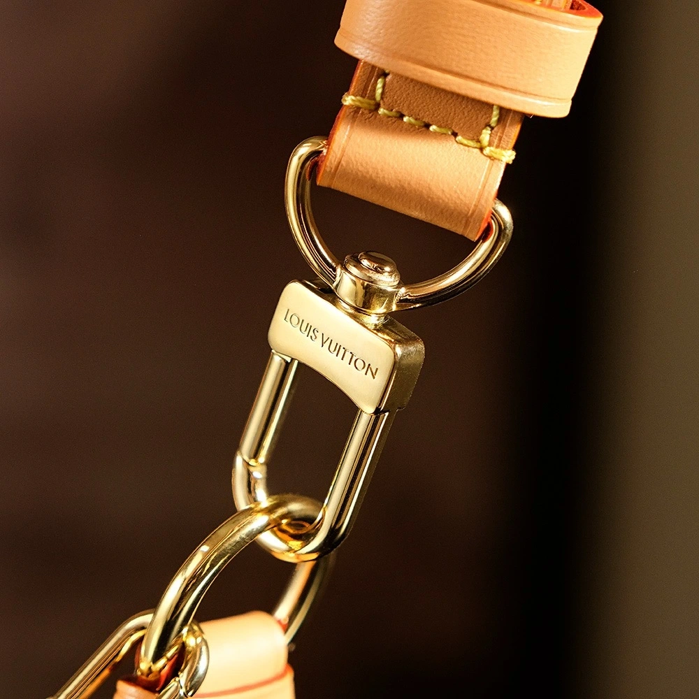 LV Loop Bag