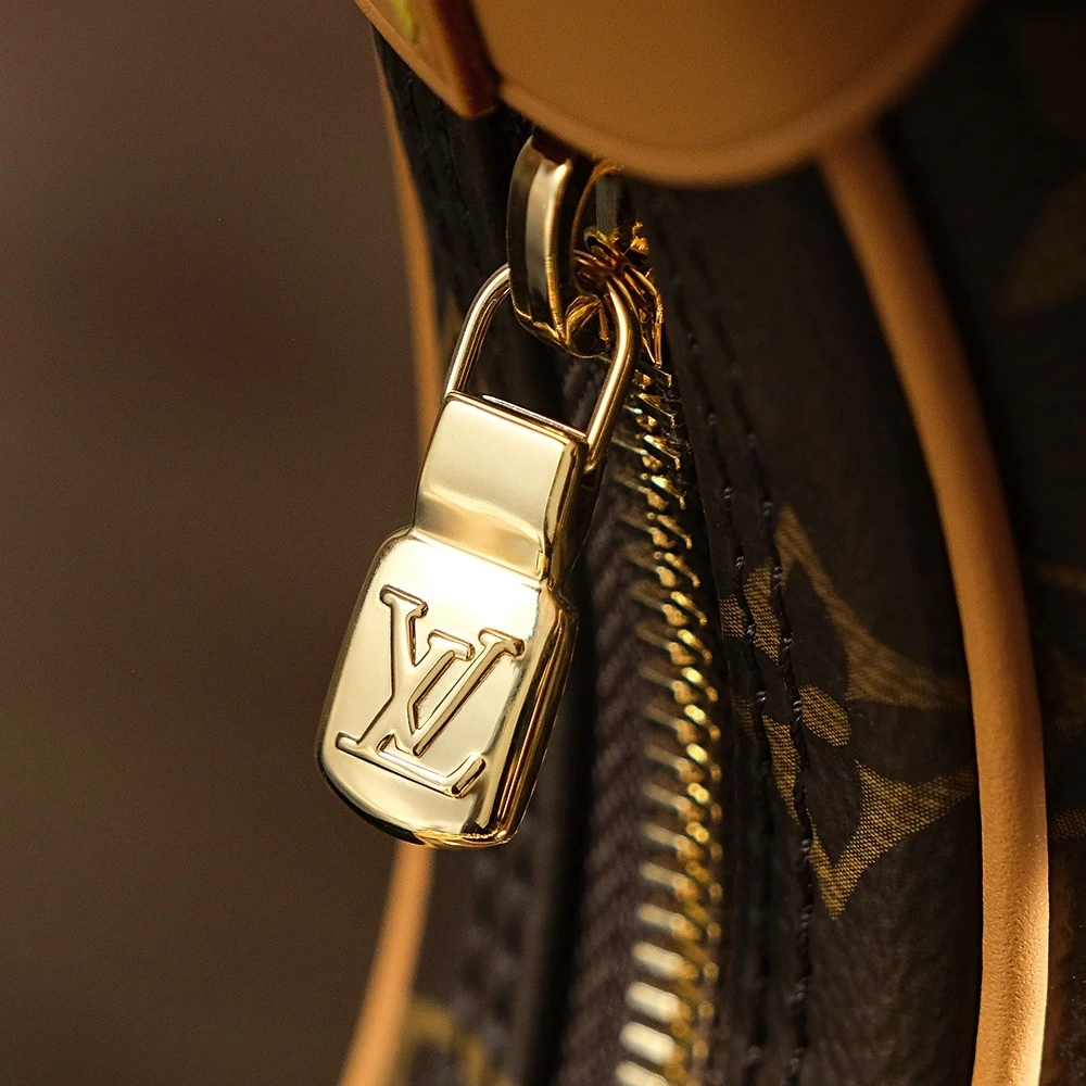 LV Loop Bag
