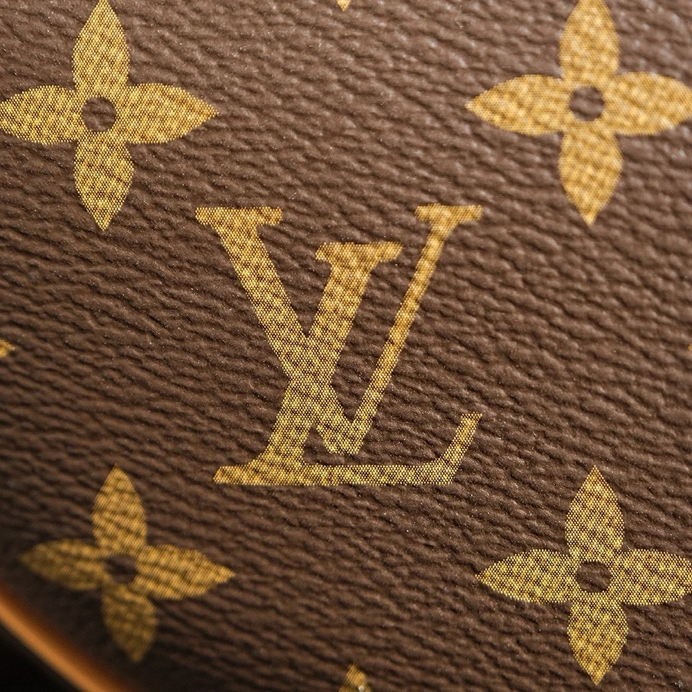 LV Loop Bag