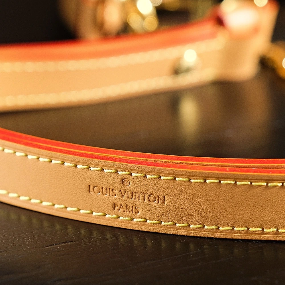 LV Loop Bag