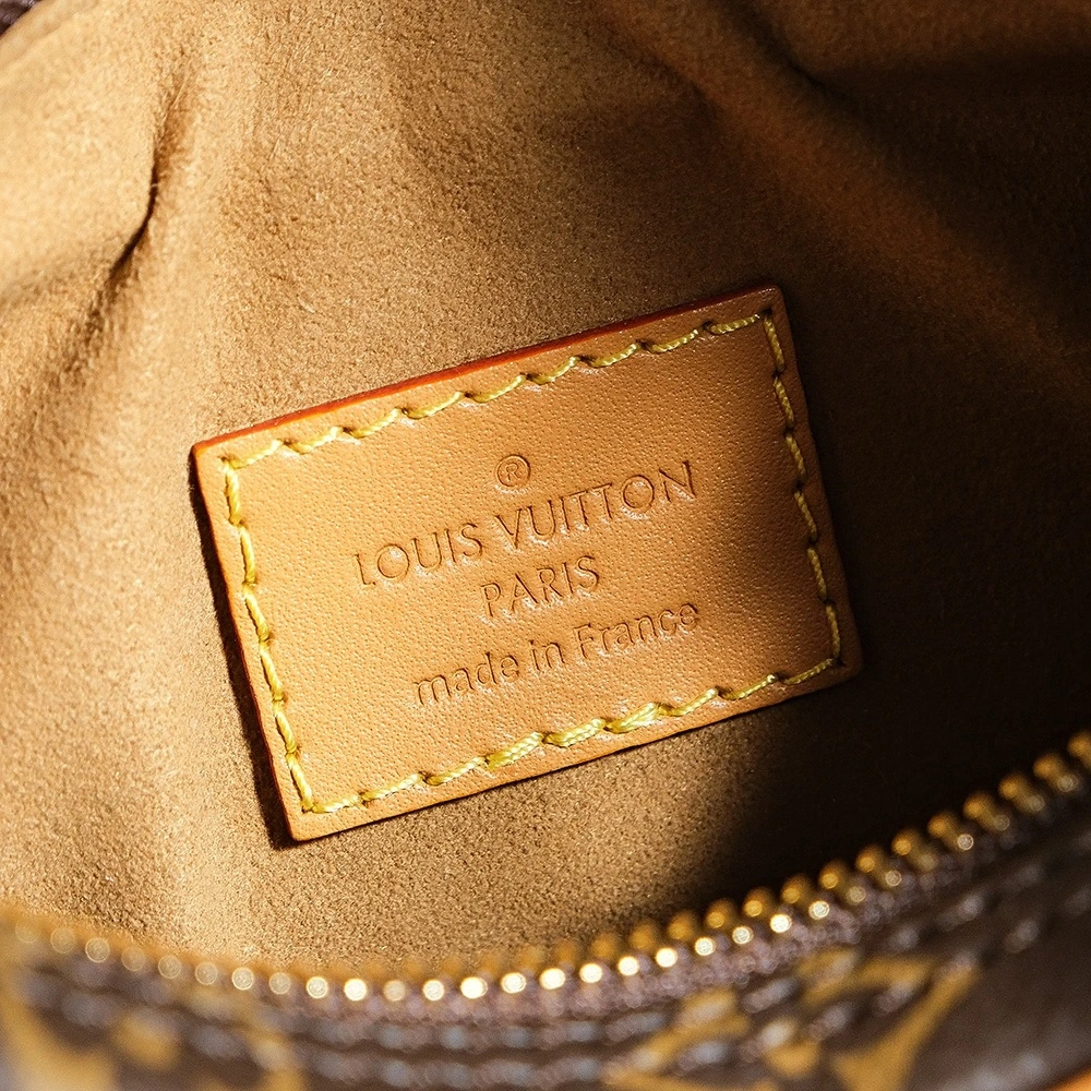LV Loop Bag
