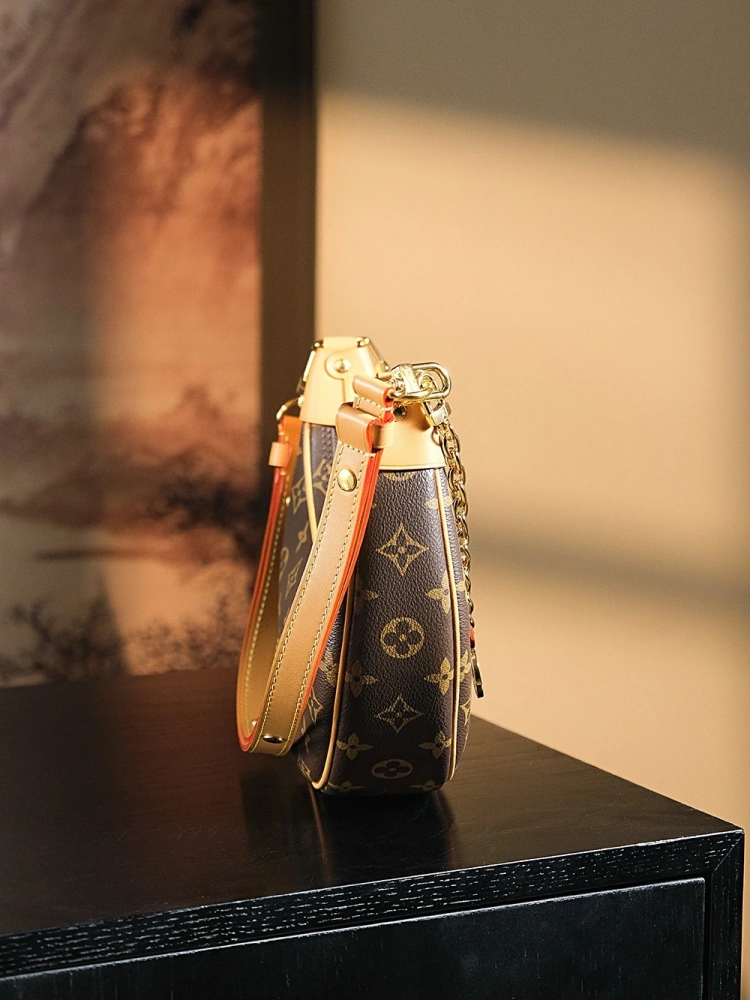 LV Loop Bag