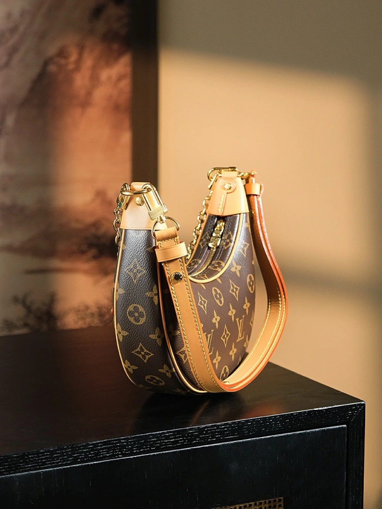 LV Loop Bag
